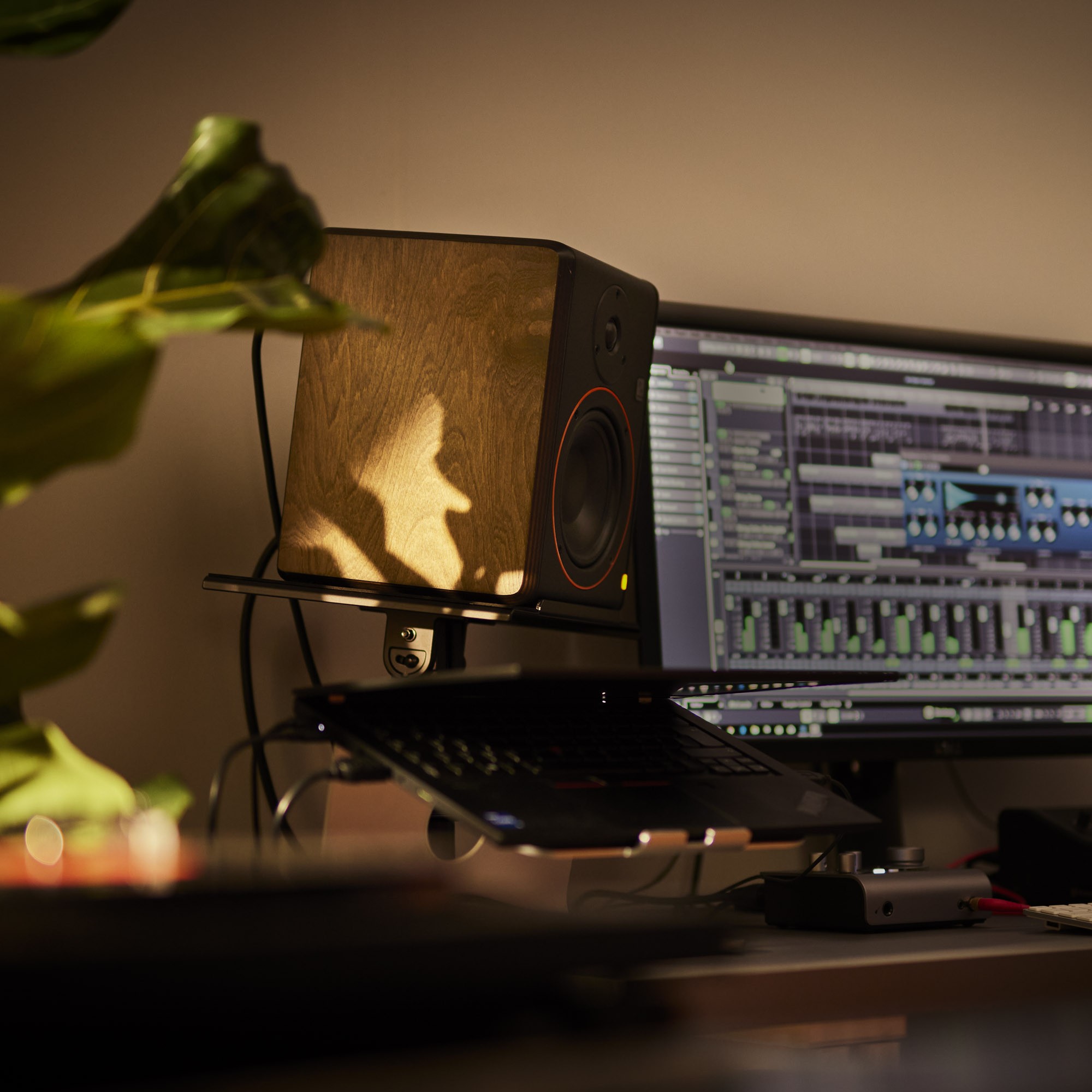 STUDIMON 5